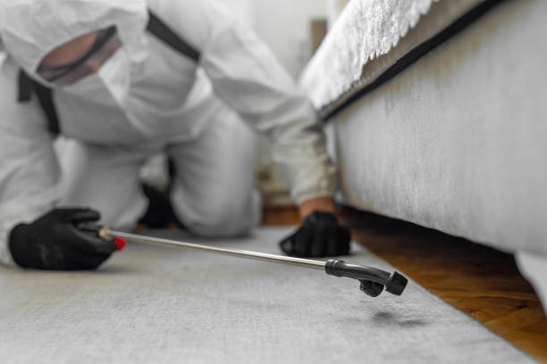 Professional Termite Control technician working in Brownfield, TX