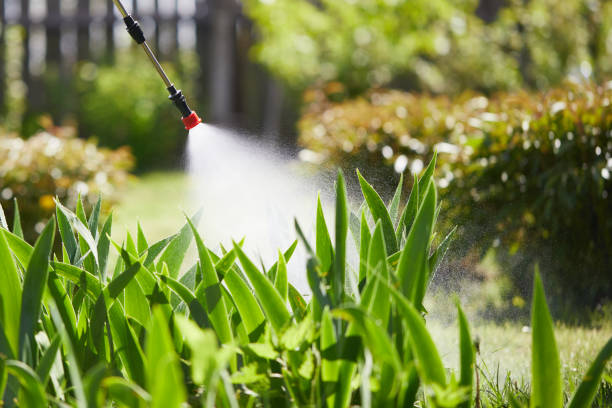 24/7 Emergency Termite Control experts in Brownfield, TX