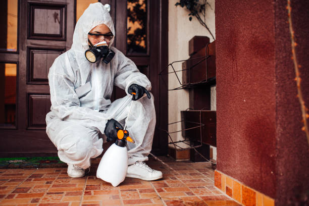 Reliable Termite Control contractor in Brownfield, TX by Nex Pest Control