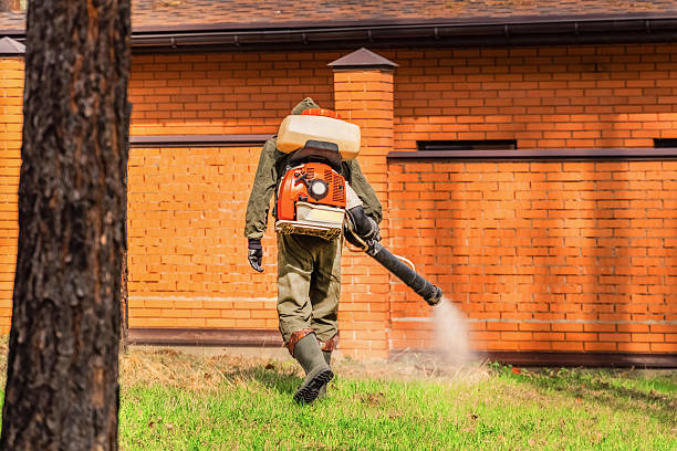 Top rated local Termite Control specialists in Brownfield, TX